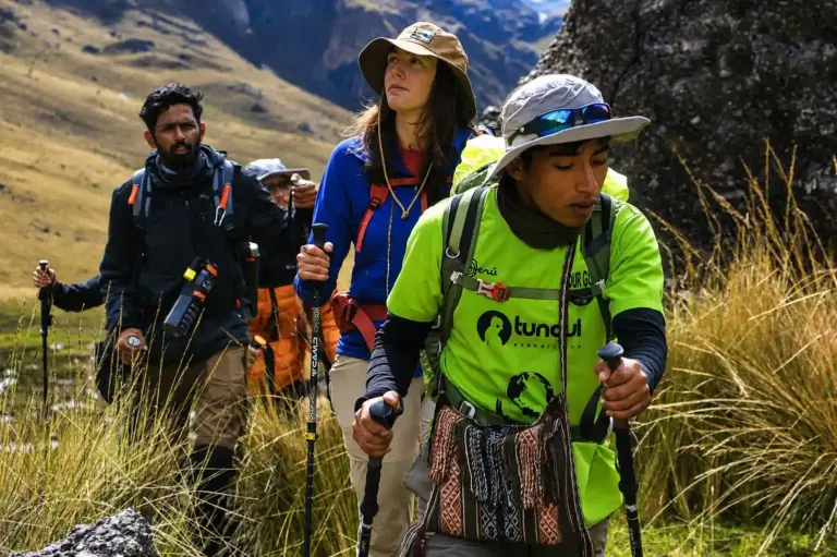 Our Guides