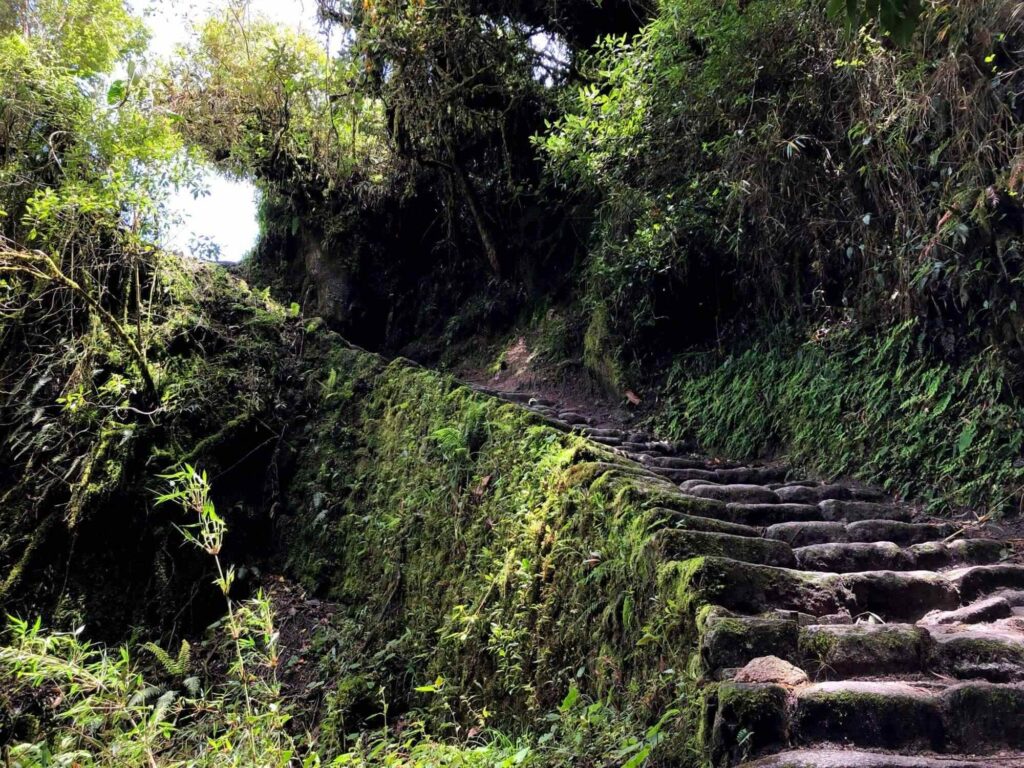 Classic Inca Trail vs Short Inca Trail: Best Route to Machu Picchu