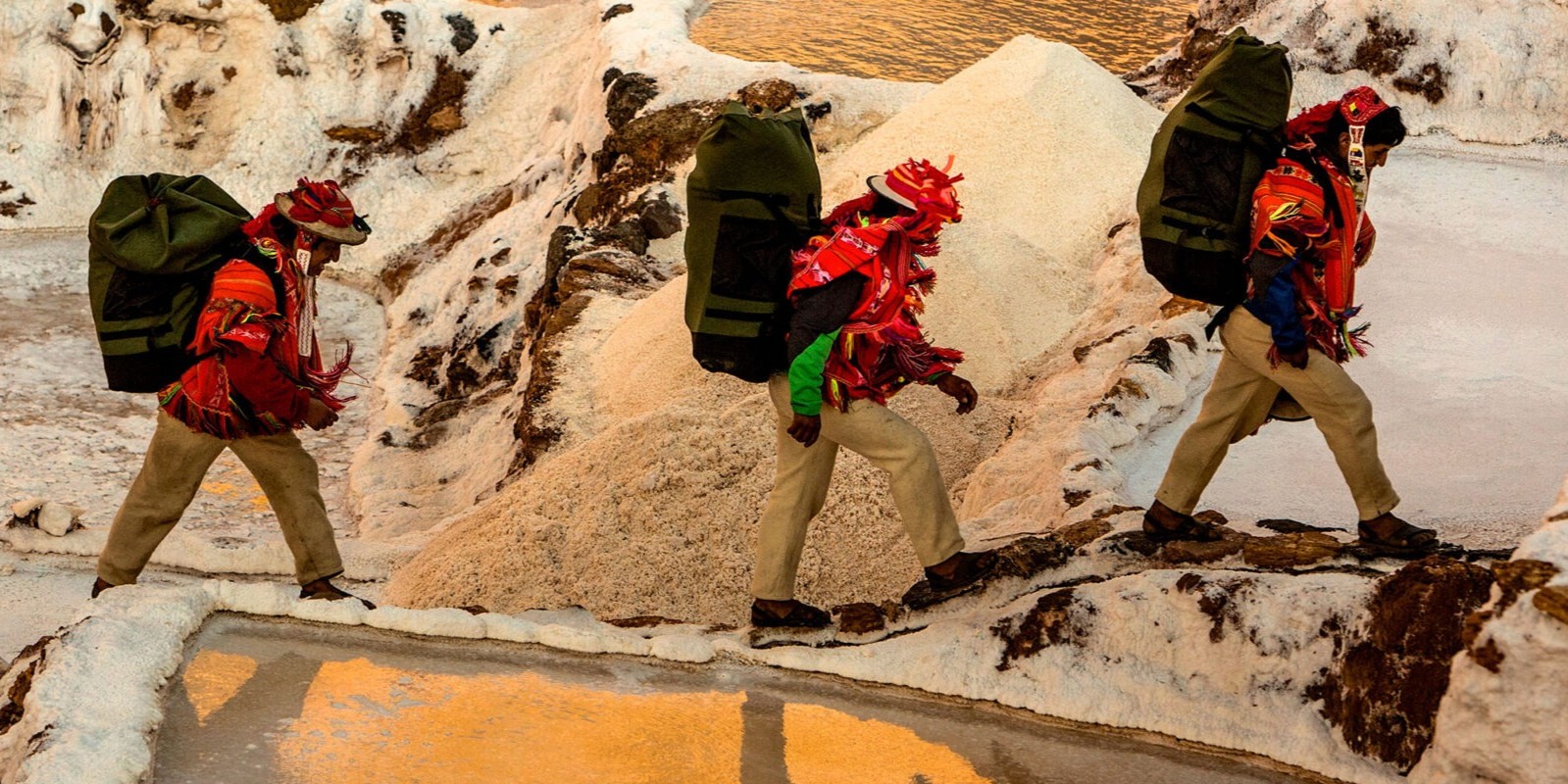 Skilled and Dedicated Team