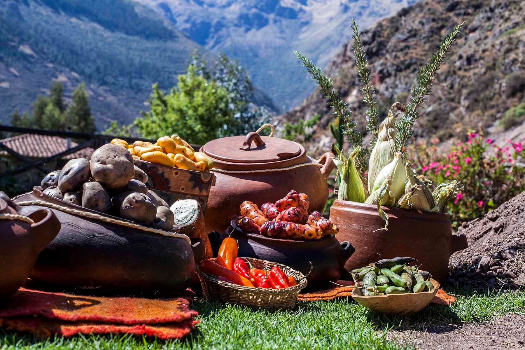 Clases de Cocina Cusco